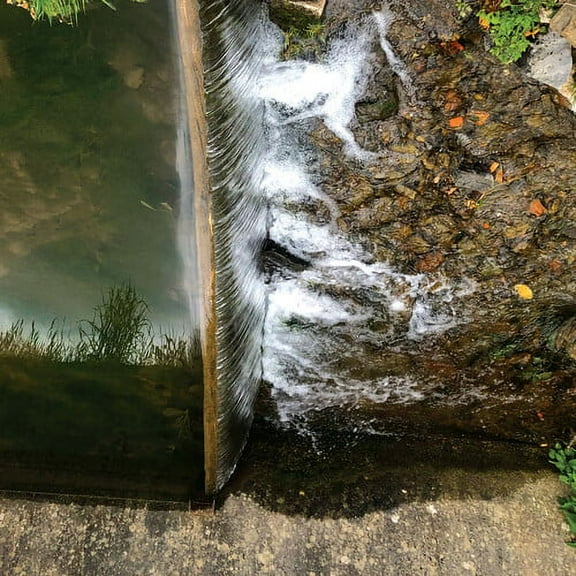 Jessica Moss - Phosphenes - Music & Performance - Vinyl