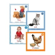 Super Duper Publications Photo Cards Mini Apraxia Portable Version Box (PRAXM560)