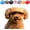 Orange, variant on Outdoor Sun Protection Hat for Dogs, Dog Cat Summer Beach Visor Hat with Ear Holes, for Small and Medium Sized Dogs Outdoor Climbing hat in Summer Pet Products (Camouflage, Small)