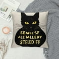thumbnail image 2 of JEUXUS Funny Cat Throw Pillow Case, Gifts for Cat Pet Lovers,  Cushion Cover for Bed Sofa Bedroom Home Office Living Room Rocking Chair Decor,, 2 of 5