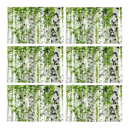 Birch Dining Room Side Table - MKHERT White Birch Trees in Forest in Summer Nature Theme Placemats Table Mats for Dining Room Kitchen Table Decoration 12x18 inch,Set of 6