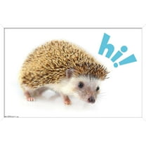 Cute Hedgehog - Hi! Wall Poster, 14.725" x 22.375", Framed
