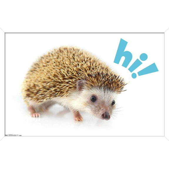 Cute Hedgehog - Hi! Wall Poster, 14.725" x 22.375", Framed