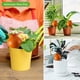 thumbnail image 4 of Paquete de 4 estacas de riego automático de terracota, estacas de riego automático decorativas de 430 ml, puntas de goteo automáticas para plantas en macetas de interior (2), 4 of 5