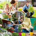 thumbnail image 4 of Riego simple y eficaz, fácil instalación para sus plantas de interior, plantas de jardín y plantas de oficina mediante dispositivos de riego con goteros automáticos, 24 piezas, 4 of 5