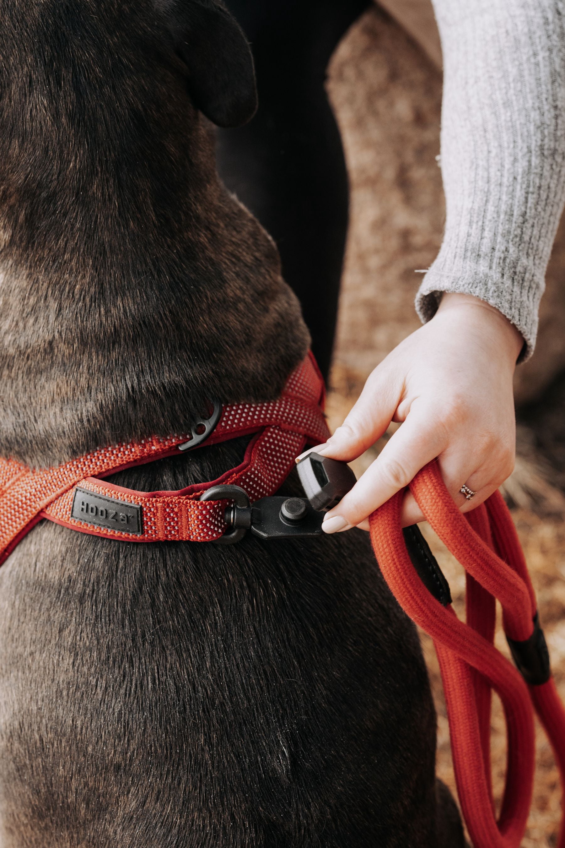 HOOZA Quick Clip Dog Harness & Rope Leash Set, Black Large – Magnetic Buckle, Reflective, Easy Fit