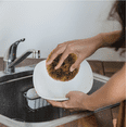 thumbnail image 3 of DONUT SCOURER, 3 of 4