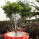 thumbnail image 5 of Ounissouiy Fuente de agua alimentada por energía Solar, rociador de agua Flexible ahorrador de energía, instalación fácil para decoración de Jardín y Patio, 5 of 6