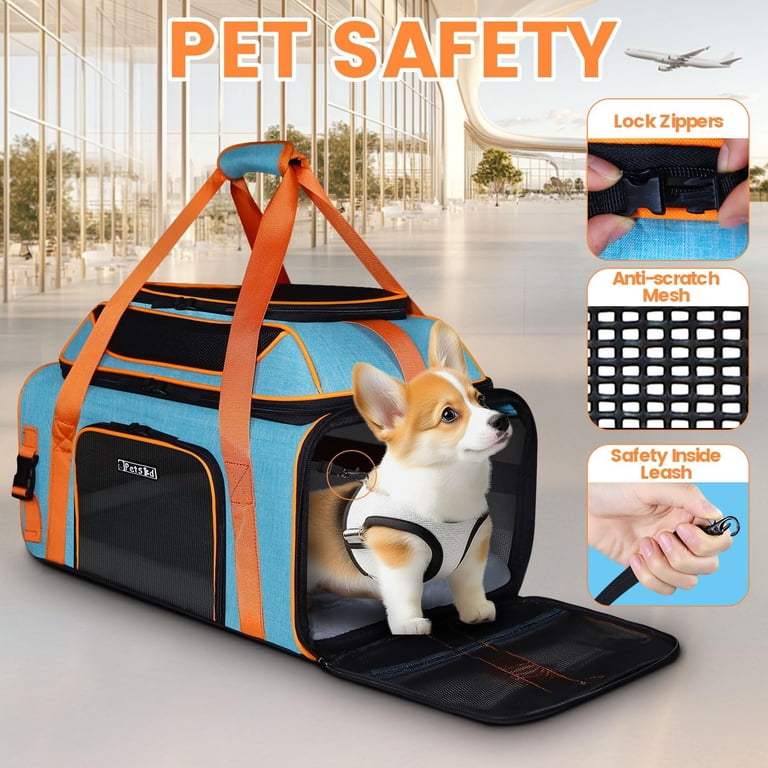 Top-Expandable Pet Carrier 19x13x9 Inches Southwest Allegiant