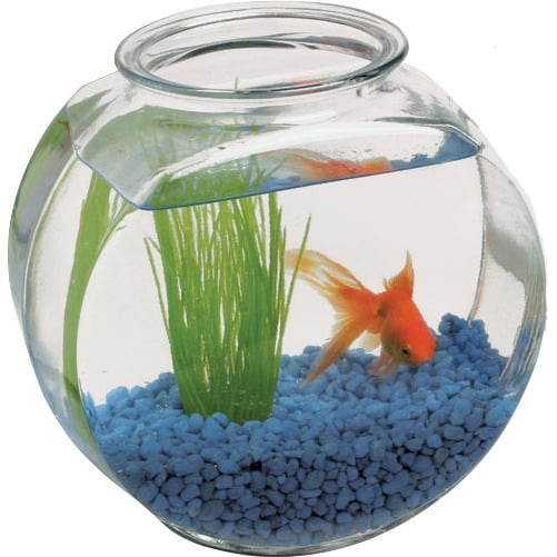 Fish Bowl Walmart Com Fish Bowl Walmart Com