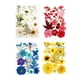 thumbnail image 3 of sweethay Juego de herramientas de flores secas, calcomanía de flores reales de maquillaje, materiales artesanales, etiqueta de espécimen prensado Decoración del hogar Blanco sweethay HA062473-01B, 3 of 6