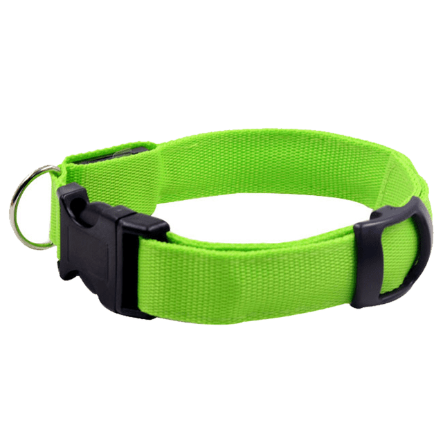 Blazin - Collar para perro con luz LED, pies de visibilidad, más brillante para seguridad nocturna