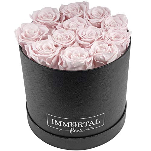 Infiniterose Keepsake Boutonniere Real Roses  Asst Free Shipping 