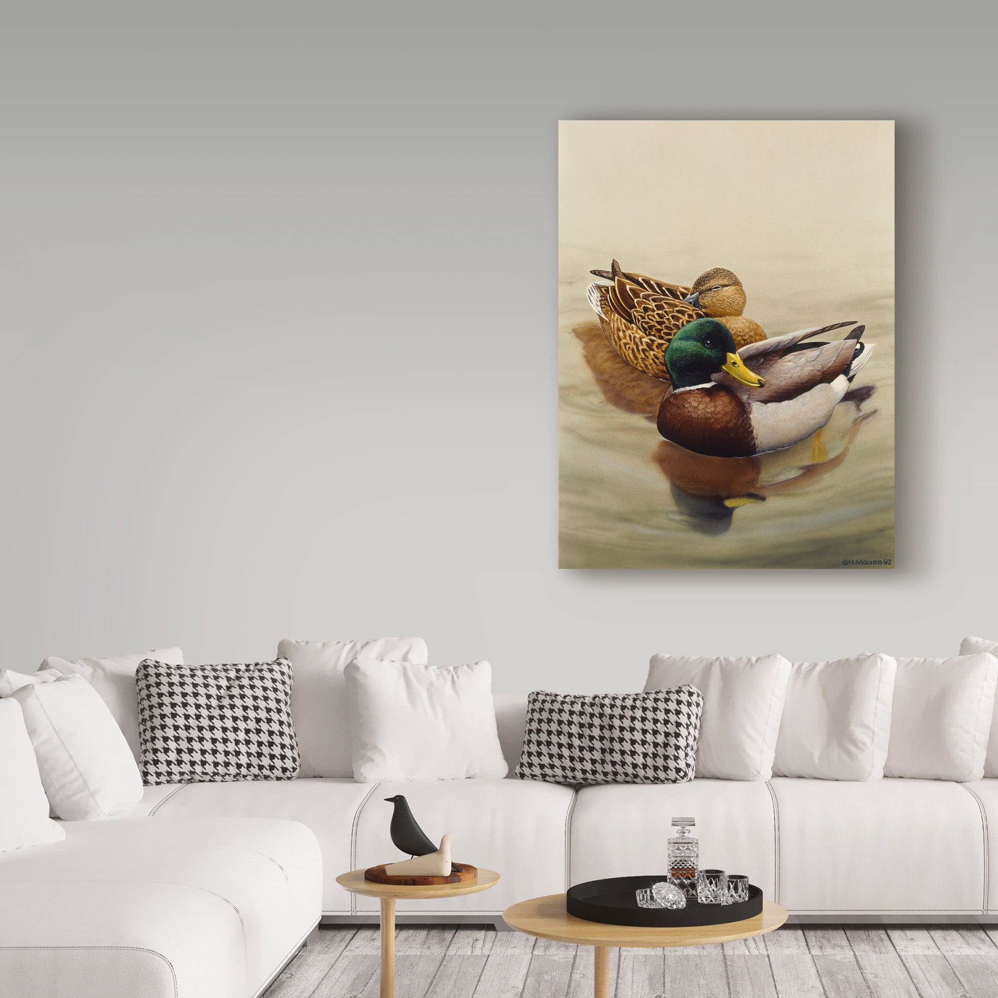 Trademark Fine Art 'Mallard Brown Lake' Canvas Art by Harro Maass