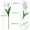 6PCS, variant on 6/10pcs Tulip Artificial Flowers For Home Decoration, Living Room Bedroom Decoration Fake Flowers, Desk, Garden Decoration