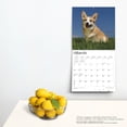 thumbnail image 4 of Pembroke Welsh Corgis | 2024 12x24" (Hanging) Wall Calendar | BrownTrout, 4 of 8