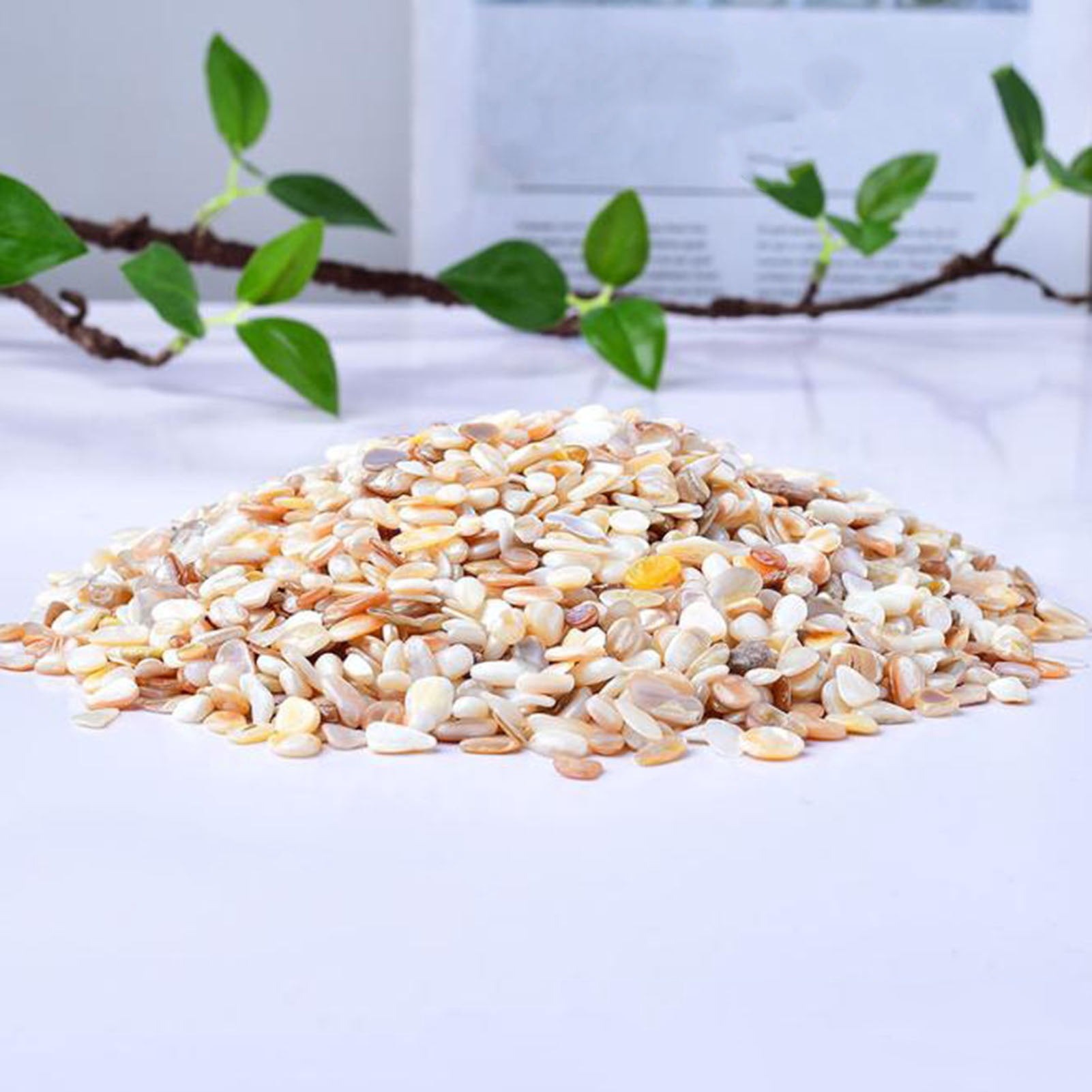 Natural Shell Gravel Pebbles,1.1lb Decorative Aquarium Gravel Pebble River Rock Stones for Vase Filler, Plant Pots, Landscaping, Aquariums, Home and Garden