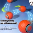 thumbnail image 4 of Speedy Tail 2.0 Interactive Cat Toy Ball, 4 of 6