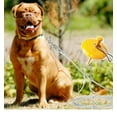 thumbnail image 2 of 21 inch Dome Stake and Forged Heavy Duty Steel Large Dog Ties Out with Spring (30 foot lead), 2 of 9
