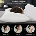 thumbnail image 5 of Goose Down Pillow Queen Size Set of 1 Pack,900+ Fill Power Luxury Hotel Quality Bed Feather Pillow for Side Back Stomach Sleepers, Soft  Cotton Shell（White,20" x 30"）, 5 of 7