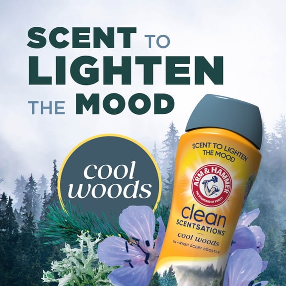 ARM & HAMMER Clean Scentsations Cool Woods In-Wash Scent Booster 24 oz - Pack of 1