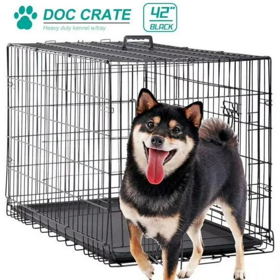 Dkelincs XL Dog Cage 42 inch Dog Crate and Kennel Folding Pet Animal Segregation Cage with Plastic Tray for Dog Training Indoor