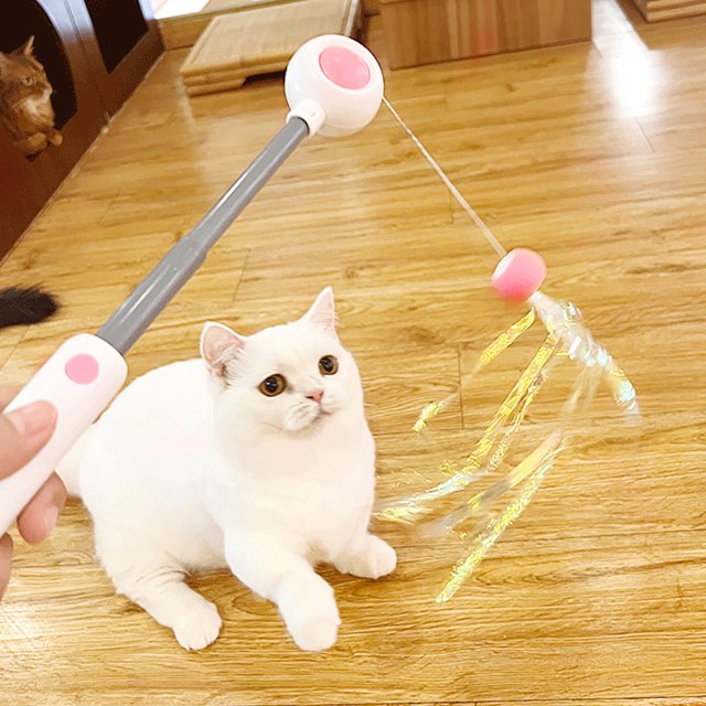 Palo De Gato Palo De Gato Cat Stick Teaser Tassels Cat Teaser Rod Retráctil Luminoso Suministros para mascotas (Rosa)