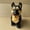 2#, variant on Kayannuo Robot Dog Toys Interactive Electronic Plush Puppy Sound Control Teddy Walk Bark With Music Touching Control Robotic Animal Pet Christmas Gifts