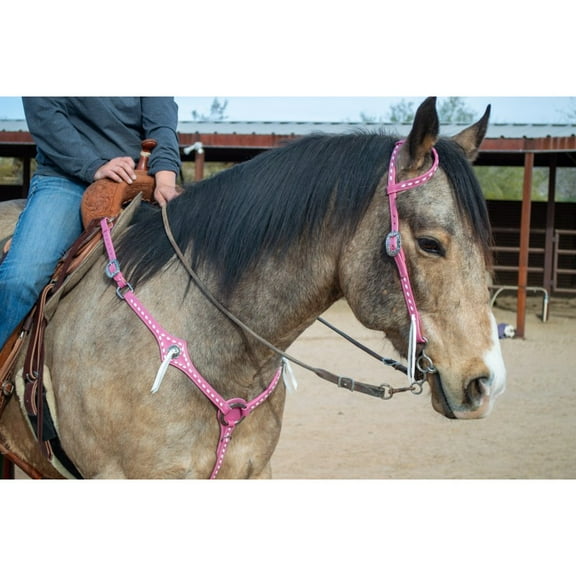 71859 Pink Leather Headstall and B/C Set