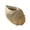 B, variant on Sea Shell Home Decor, Coastal Beach Decorations for Home Bathroom Ocean Seashell Decor Series for Home Beach Decor Theme Party Favors (Without Drainage Hole) 11.5 Inch