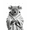 SKU-08, variant on Panda Monkey Tiger Wearing Bathrobe Poster Print Canvas Painting Fun Animal Art Mural Bathroom Toilet Home Decoration Picture50 x 70 cm, frameless,SKU-11