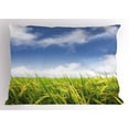 thumbnail image 1 of Plant Pillow Sham Asian Cultivated Farm Paddy Rice Field Agriculture Food Eastern Countryside, Decorative Standard Queen Size Printed Pillowcase, 30 X 20 Inches, Sky Blue Apple Green, by Ambesonne, 1 of 2