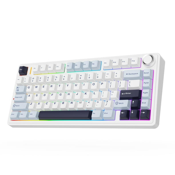 Teclado inalámbrico para juegos MechLands Aula F75 PRO 75% con RGB