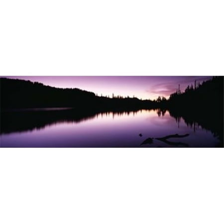 Reflection of trees in a lake Mt Rainier Mt Rainier National Park Pierce County Washington State USA Poster Print by - 36 x 12