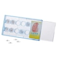 thumbnail image 2 of 10Pcs  Oral Teeth Gems Crystal Tooth Ornaments Jewelry Clear Color Teeth Decoration Tooth Tool, 2 of 7