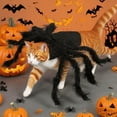 thumbnail image 5 of Halloween Spider for Small Pets - Adjustable Dog & Cat Outfit with Velcro Straps for Halloween Party, Decoration, and Photo Fun, 5 of 7