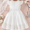 thumbnail image 4 of Summer Dresses for Girls , Little Girls Spring Dress Girls Lace Dress With Puff Sleeves And Front Zipper Elegant Summer Casual Party Wear For Toddlers, 4 of 5