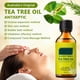 thumbnail image 4 of Maojin Teas Tree Oil Anti-acné Control de aceite Acné Repara la piel Acné juvenil 50ML, 4 of 5