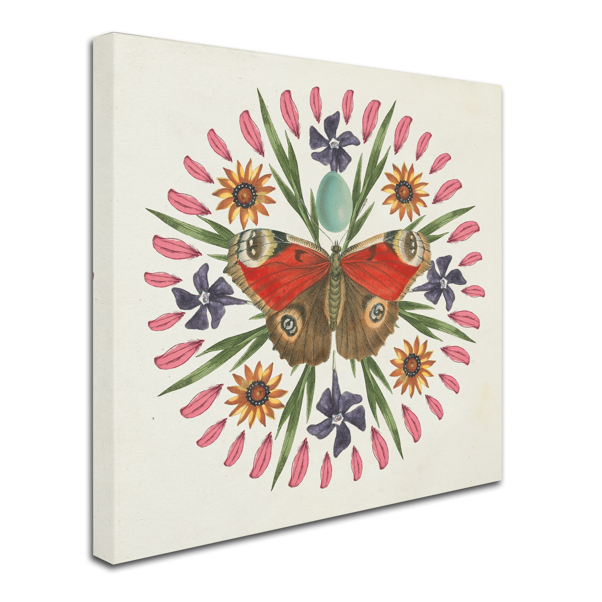 Trademark Fine Art 'Butterfly Mandala II' Canvas Art by Wild Apple Portfolio