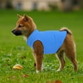 thumbnail image 6 of Luxtrada Fleece Vest Dog Sweater , Warm Pullover Fleece Dog Jacket with O-Ring Leash - Winter Small Dog Sweater Coat - Cold Weather Dog Clothes for Small Dogs (Red,XL), 6 of 6