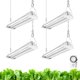 thumbnail image 1 of Grow Light Barrina TX18, 30 cm, 72 W, 5000 K, espectro completo, paquete de 4, 1 of 9