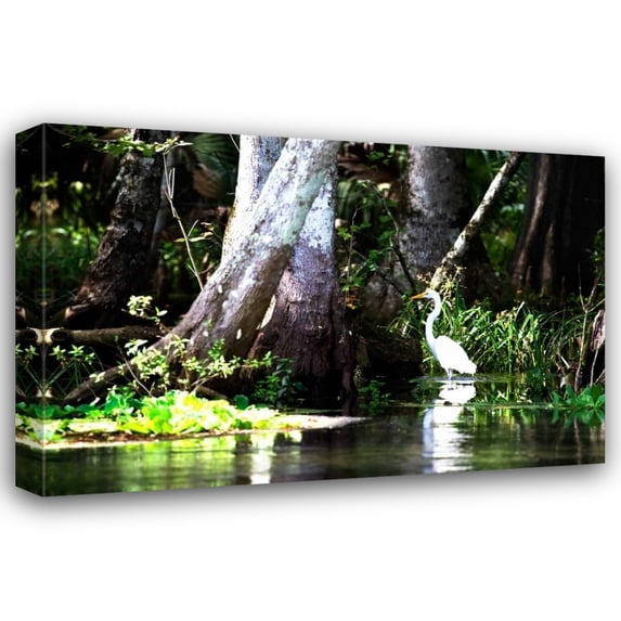 Alan Hausenflock 40x28 Gallery Wrapped Canvas Wall Art Titled - Stalking Egret
