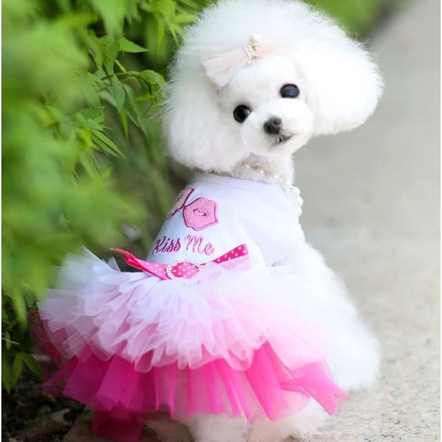 Ropa para perros, ropa para perros, ropa para gatos de primavera y verano, falda para mascotas, suministros para mascotas, falda de gasa para labios, osito de peluche de amor