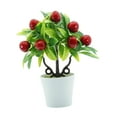 thumbnail image 3 of CoudarTitie Artificial Potted Plants Florals Decor Desktop Decoration Decorative Fake Potted Cherries, 3 of 9