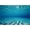 Sea2, variant on Underwater World Backdrop Deep Blue Water Sun Ray Background Undersea Sunlight Seascape Ocean Diving Party Banner Under The Sea Fish Tank Aquarium Decors Photo Booth Props