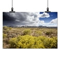 thumbnail image 2 of Print: Rural Colorado, 2006, 2 of 4
