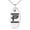 Silver, variant on Stainless Steel Letter P Initial Empire Monogram Engraved Small Oval Charm Pendant Necklace