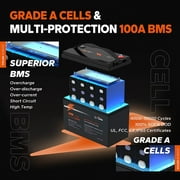 LiTime 4 Packs 12V 100Ah LiFePO4 Battery 100A BMS 1280Wh Deep Cycle Lithium Battery for RV Solar