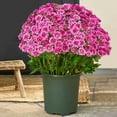 thumbnail image 6 of WUYVCG 2025 on Sale Clearance 5 Bundles Of Artificial Flowers In – Realistic Flowers for Home Decor, 6 of 6