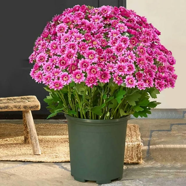 WHEANG 5 Bundles Of Artificial Flowers In – Realistic Flowers For Home Decor